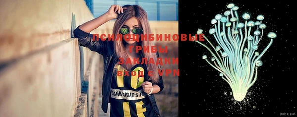 гидра Абинск