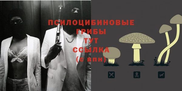 гидра Абинск