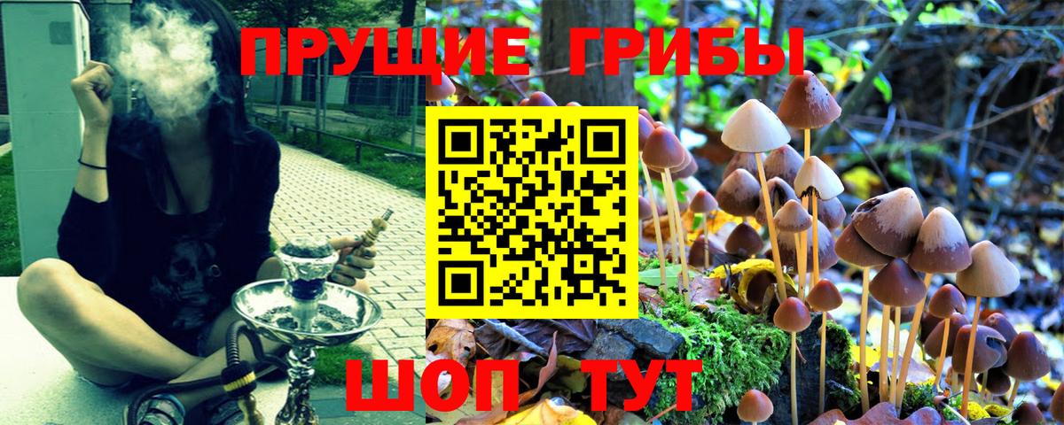 Галлюциногенные грибы GOLDEN TEACHER Курчатов