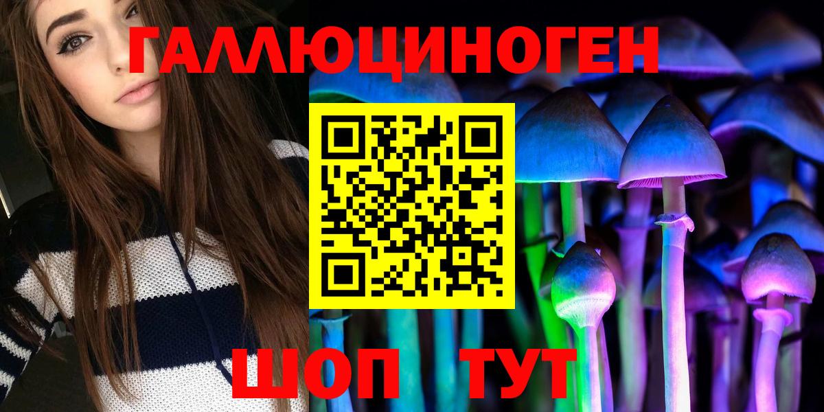 Курчатов  Псилоцибиновые грибы мицелий  Псилоцибиновые грибы прущие грибы  Вход с VPN 