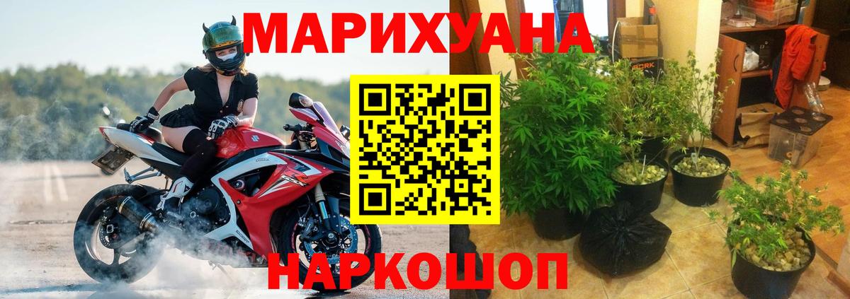 Бошки Шишки White Widow  МАРИХУАНА AK-47  Марихуана ГИДРОПОН  Вход с VPN  Курчатов 